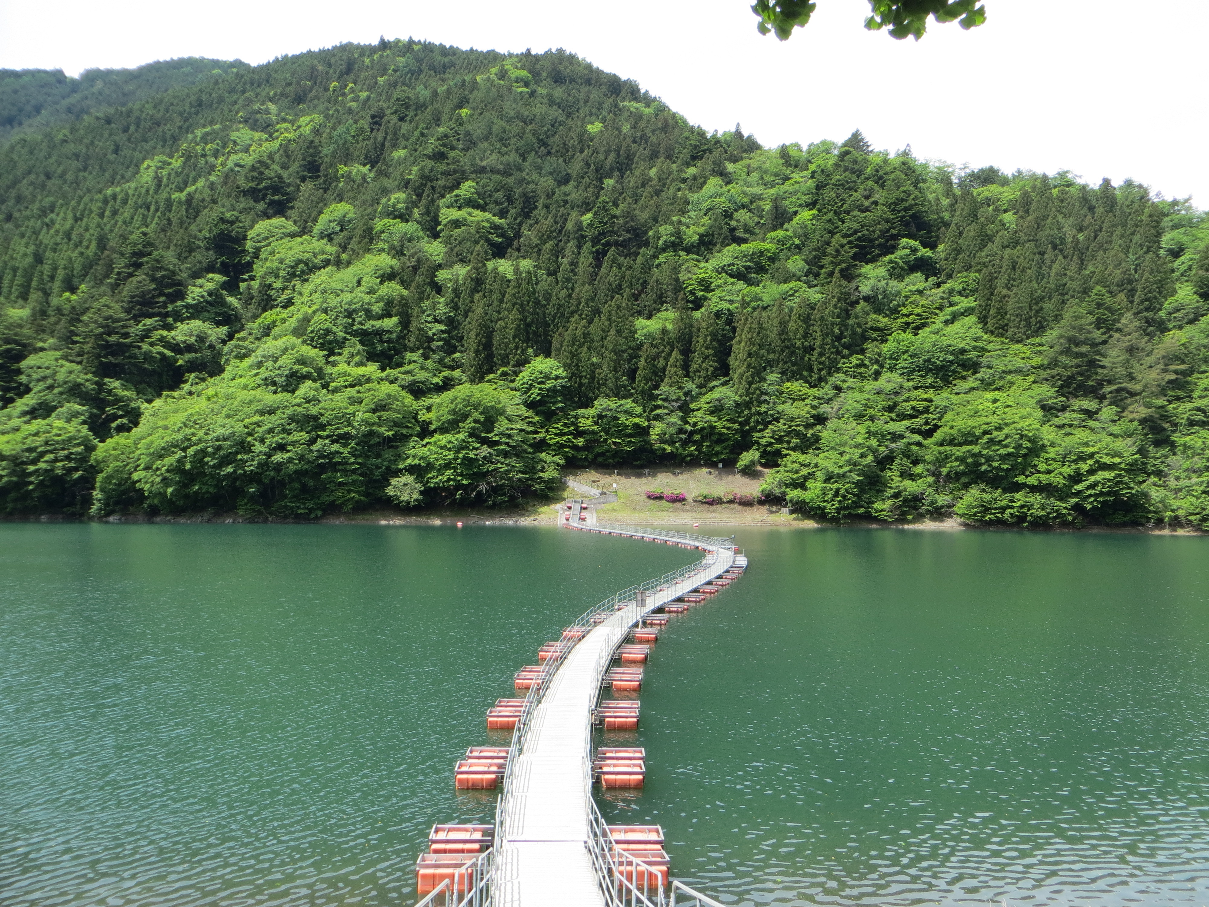 浮橋（麦山､留浦）