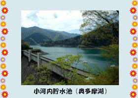 小河内貯水池（奥多摩湖）の写真