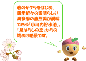 春のサクラをはじめ、四季折々の素晴らしい奥多摩の自然美が満喫できる「小河内貯水池」。「見はらしの丘」からの眺めは絶景です。