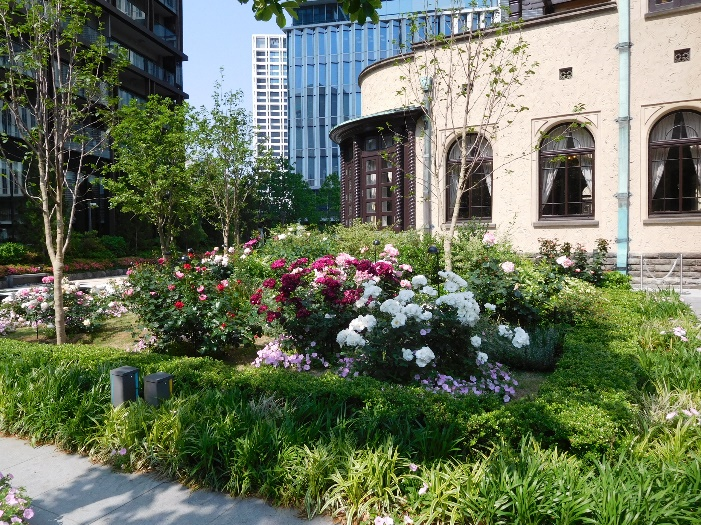 使用済粒状活性炭の使用例（園芸用土）