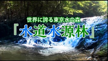 世界に誇る東京水の森「水道水源林」の全編再生(20分11秒)