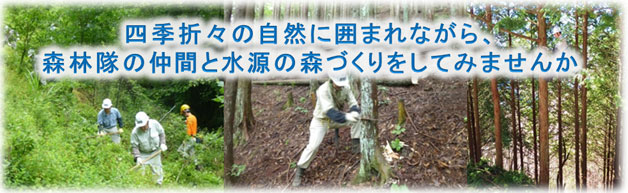 四季折々の自然に囲まれながら、森林隊の仲間と水源の森づくりをしてみませんか